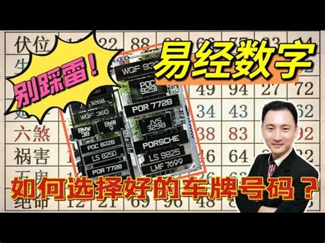 49意思|【49 數字】解碼49數字！吉凶、風水涵義一次搞懂